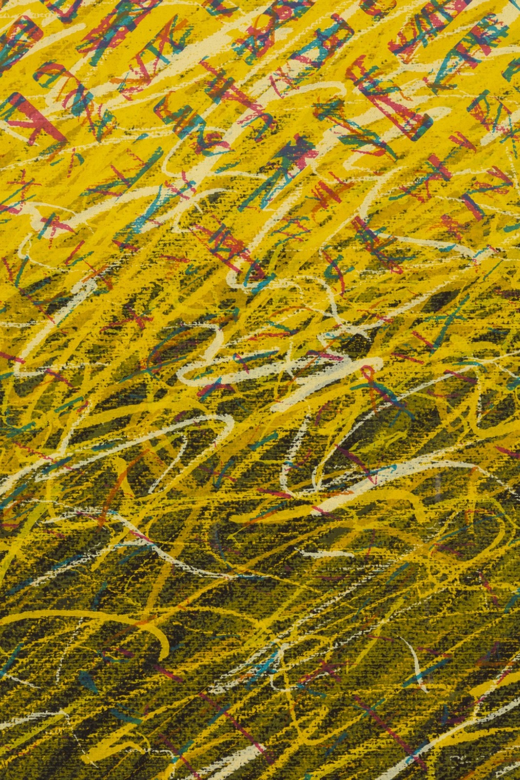 47509044