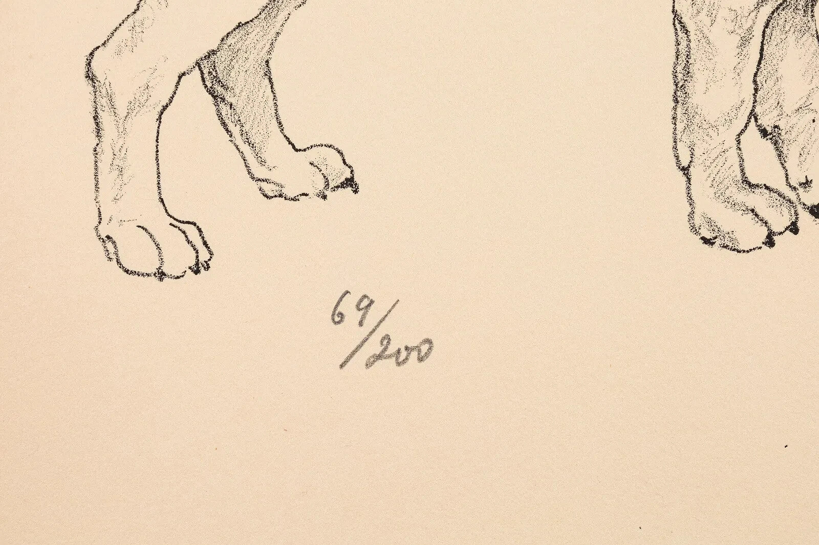 44841610