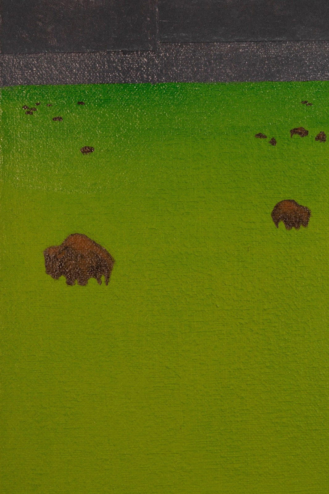47508651