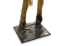 Nick Bottom Shakespeare's A Midsummer Night's Dream Papier-Mâché Sculpture