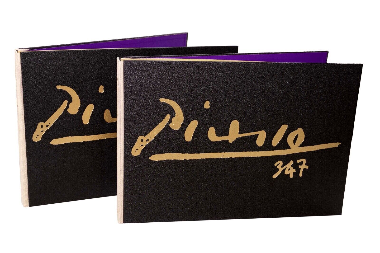 PICASSO 347 by Pablo Picasso – twelvebooks