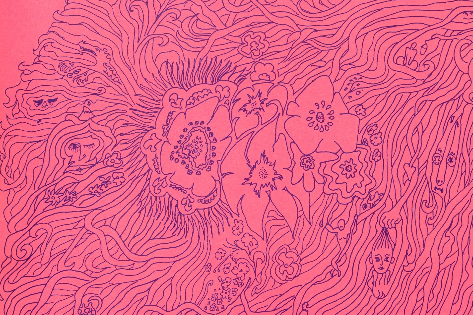 47704918