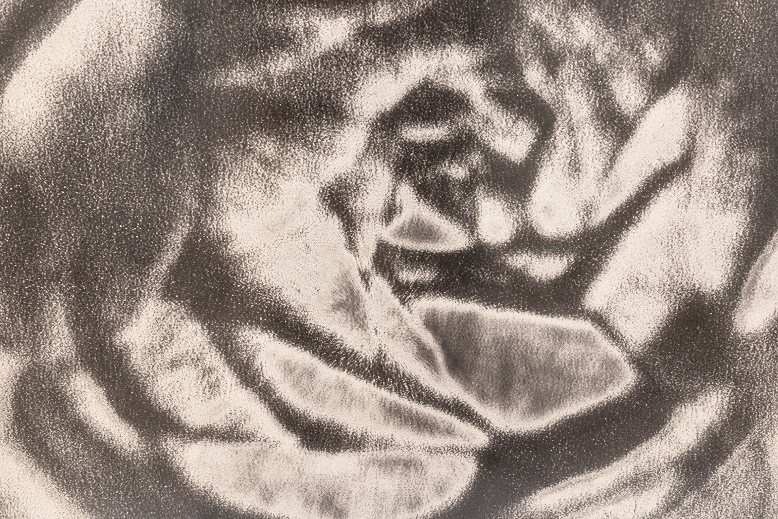 46365012