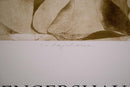 C. v. Mengershausen Earthscapes Lantern Gallery Signed Lithographic Poster
