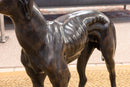 Sadows Bronze Whippet or Greyhound Dog Life Sized Sculpture