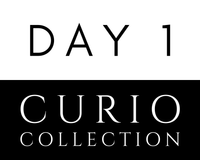 Day 1- Curio Collection: Art, Furniture, Toys | December 6th, 2024