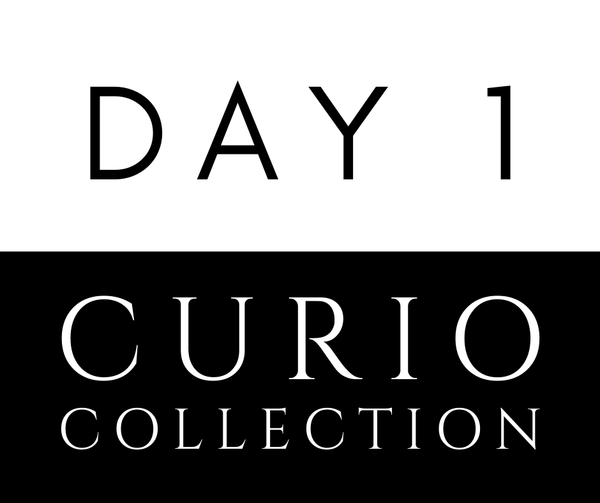 Day 1- Curio Collection: Art, Furniture, Toys | December 6th, 2024