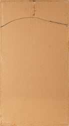 45894412