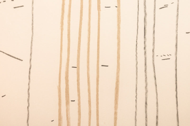 45423122