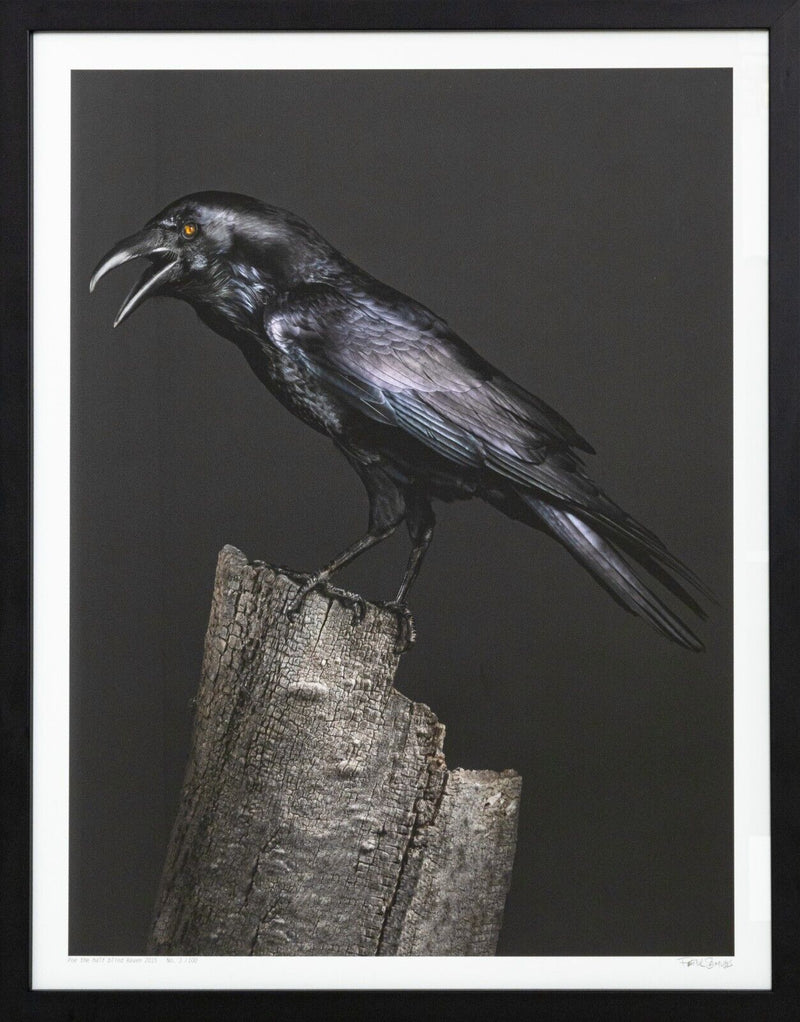 Peter Samuels Poe, the Half Blind Raven Signed Photograph 3/100 Framed 2015