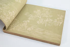 45894416