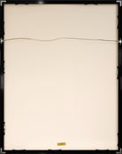 47095554