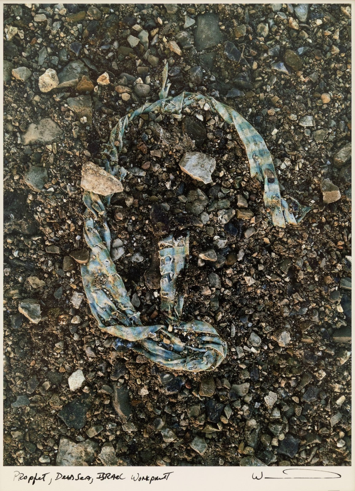 46637269