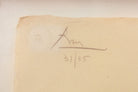 47124954