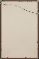 47353332