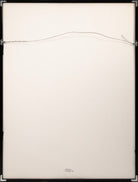 47095560