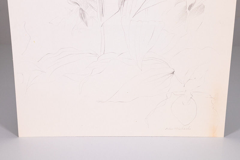 Glen Michaels Signed Modern Orchid Graphite Drawing on Paper 14h x 11w Unframed