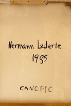46438623