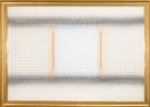 44356487