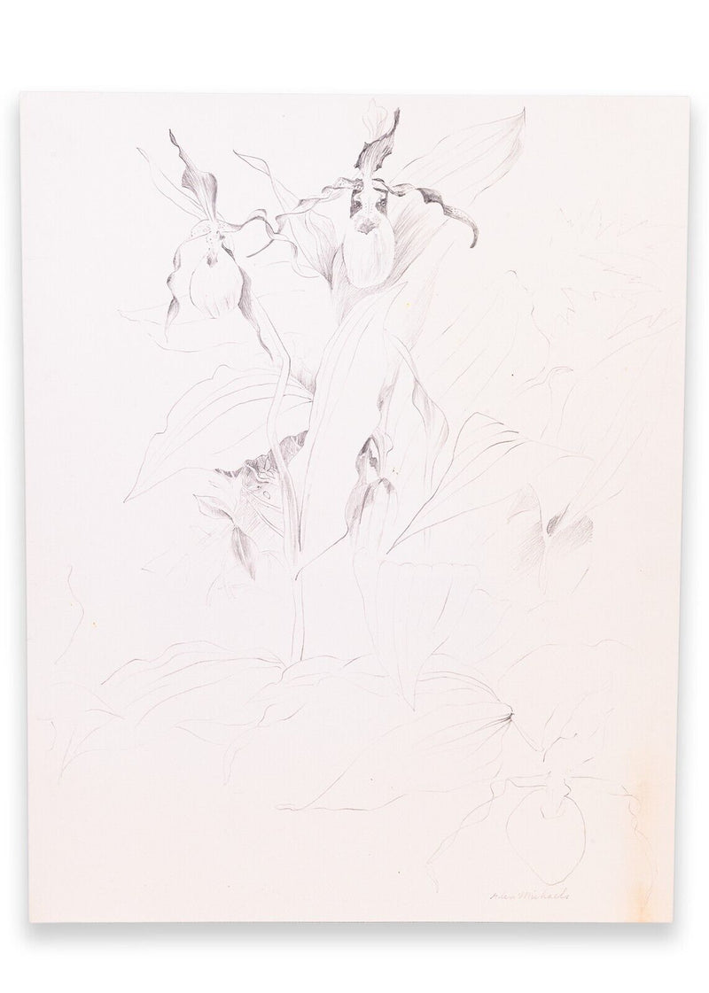 Glen Michaels Signed Modern Orchid Graphite Drawing on Paper 14h x 11w Unframed