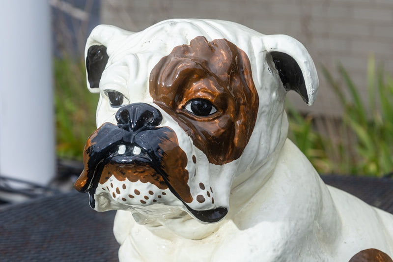 彫刻・オブジェ Vintage chalkware Bulldog&glass Bulldog Vintage 1960s Marwal English Bulldog Life Sized Chalkware