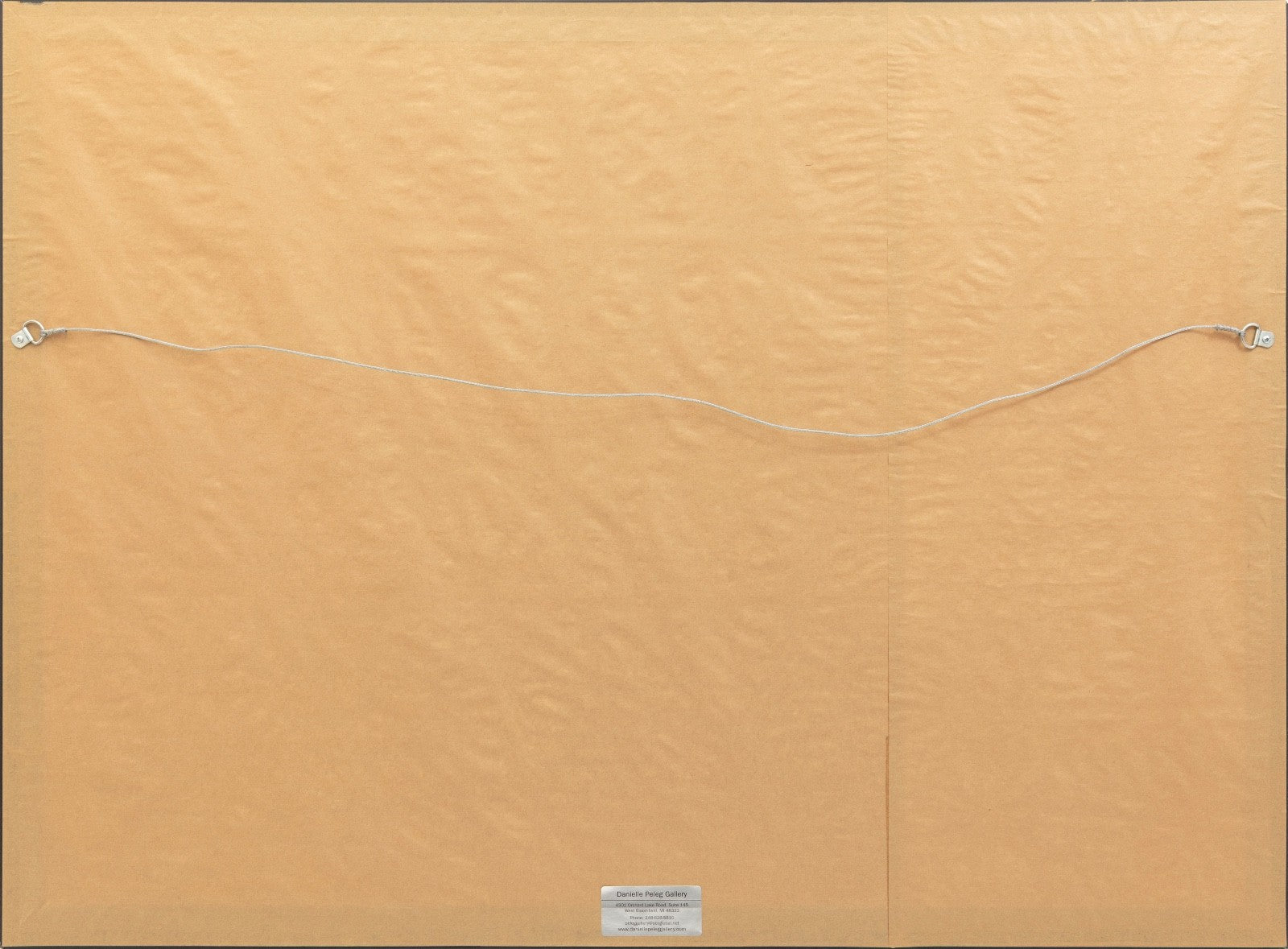 47288282