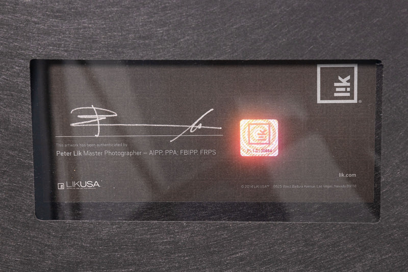 46016068