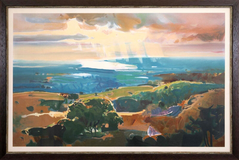 John Maxon Discovery Signed Contemporary Lithograph on Paper 27/200 Framed 1994
