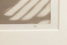 45926176