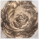 46365011