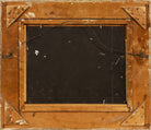 47135229