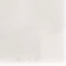 Beverly Fishman, Untitled (Antipsychotic, Sleepiness, Pain), 2022 Signed Serigraph on Archival Paper 30/30