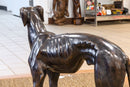Sadows Bronze Whippet or Greyhound Dog Life Sized Sculpture