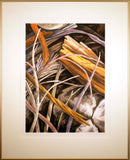 Catherine Kernan Sticks