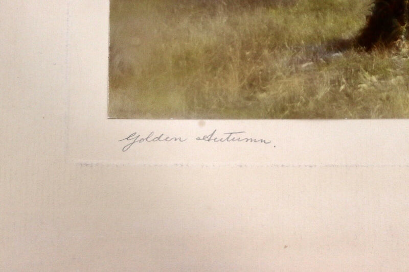 Percy Murray Golden Autumn Signed Vintage Photograph