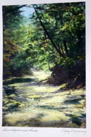 Percy Murray Sunlight and Shade Signed Vintage Photo