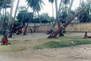 Chantel James Haiti Village Photograph