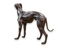 Sadows Bronze Whippet or Greyhound Dog Life Sized Sculpture
