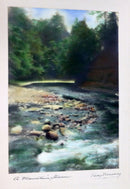 Percy Murray A Mountain Stream Signed Vintage Photo
