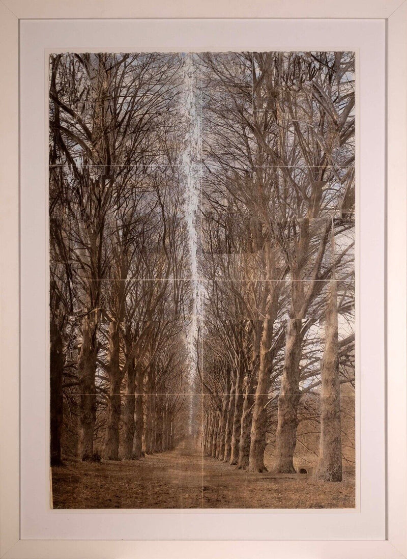 Esteban Chavez Allee Alley of Trees Signed Hand Colored Lithograph on Paper