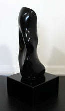 James Nani Been There 111 Mod Abstract Black Molded Contemporary Sculpture