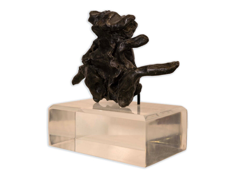 Willem de Kooning Untitled 1972 Signed Abstract Cast Pewter Sculpture 38/100