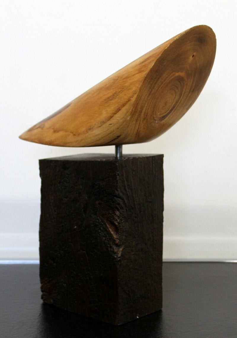 James Nani Flight 124 Modern Wood Semi Circular Sculpture