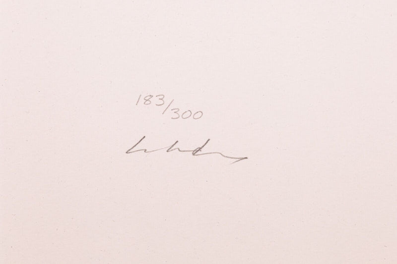 John Lennon Free as a Bird Silkscreen 183/300 Hand Signed Yoko Ono Lennon 1995