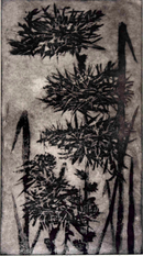 Mid Century Modern Framed Signed Don Jensen Four Flowers Mezzotint Etching