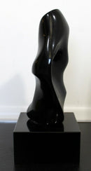 James Nani Been There 111 Mod Abstract Black Molded Contemporary Sculpture