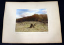 Percy Murray Golden Autumn Signed Vintage Photograph