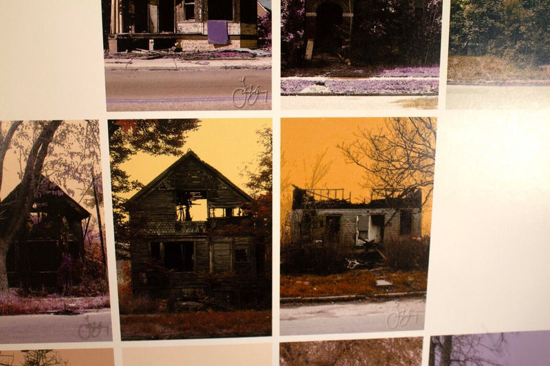 Larry Zelensky Signed Beauty Among the Ruins Detroit Contemporary Poster UF