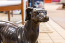 Sadows Bronze Whippet or Greyhound Dog Life Sized Sculpture